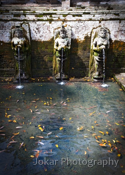 Pejeng_20100613_003.jpg - Baths at Goa Gajah, Bali