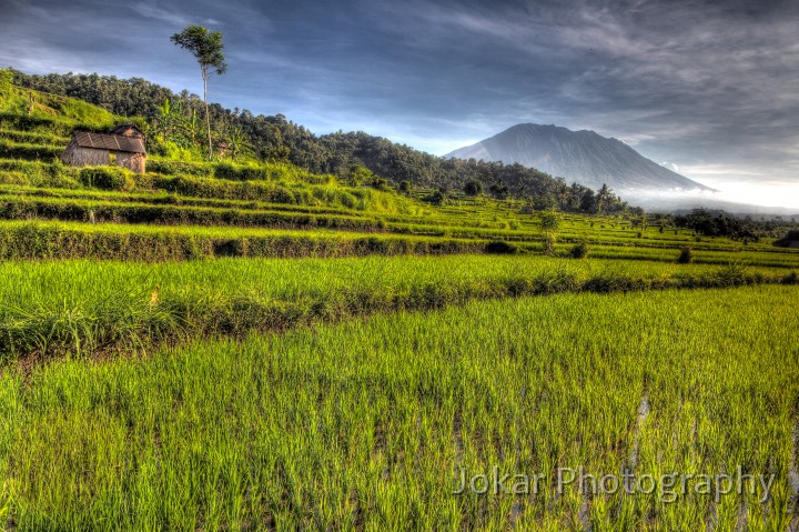 Sidemen_20100502_129_30_31_27_28_tonemapped.jpg - Rice terraces and Mt Agung, Sideman, Bali