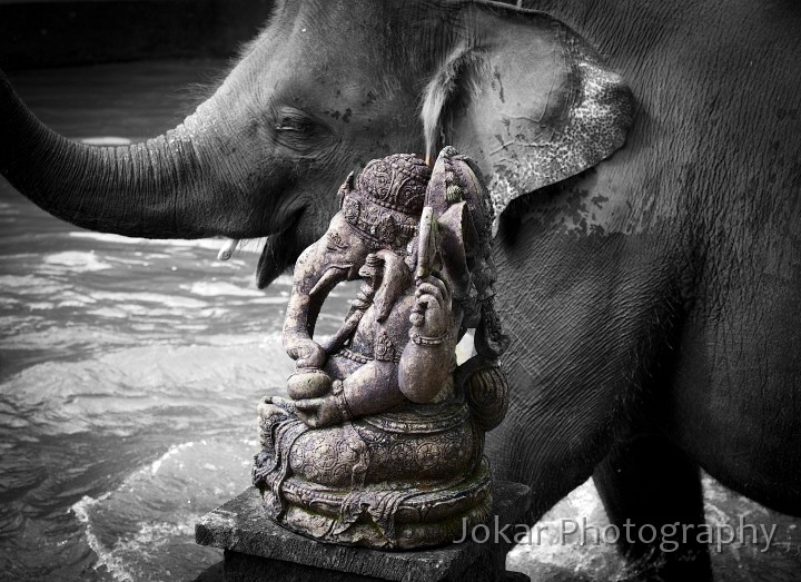 Taro_Elephant_Park_20100711_121.jpg - Elephant and Ganesh statue, Taro, Bali