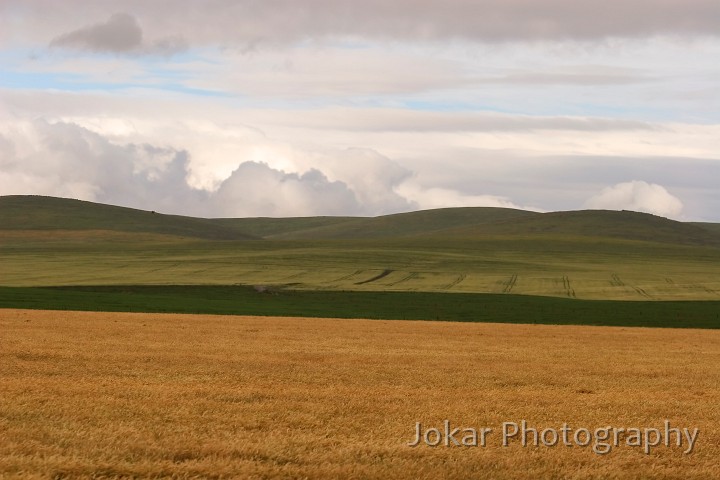 _MG_1411.jpg - South of Burra, South Australia