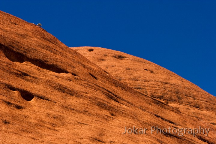 Uluru_20070921_178.jpg