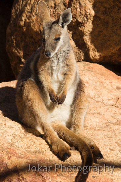 Longreach_20070807_030.jpg