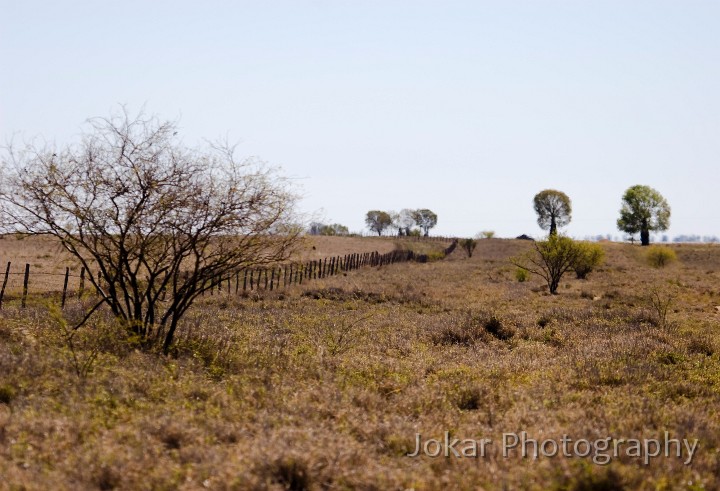 Longreach_20070807_065.jpg