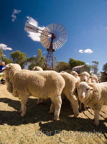 Longreach_20070808_051.jpg