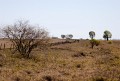 Longreach_20070807_065