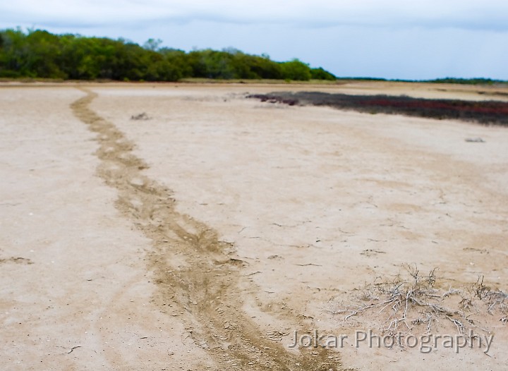 Borroloola_20070816_051.jpg