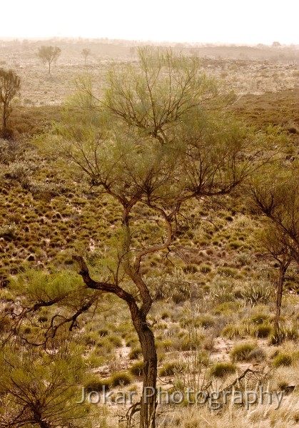 Uluru_20070921_008.jpg