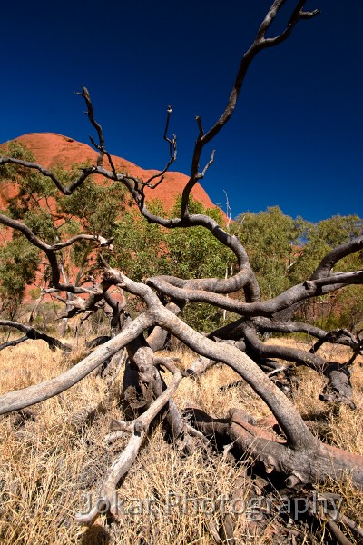 Uluru_20070921_052.jpg