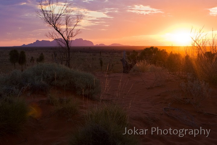 Uluru_20070921_237.jpg