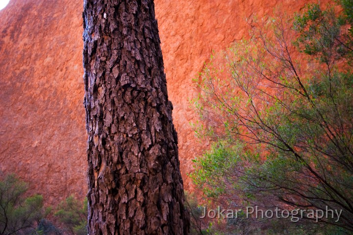 Uluru_20070922_116.jpg