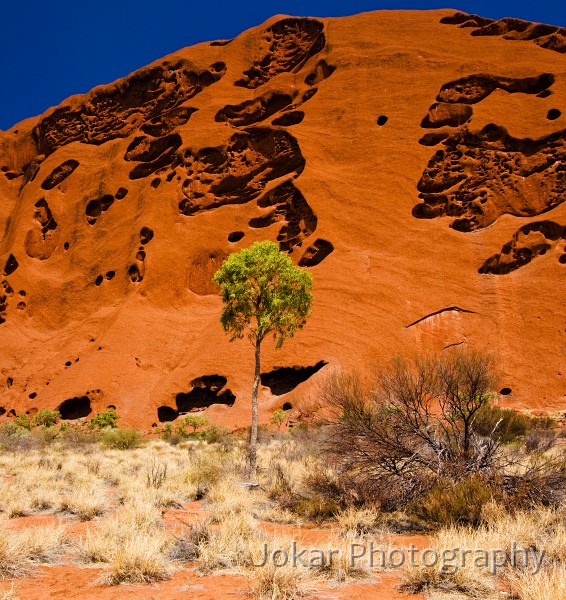 Uluru_20070922_132.jpg