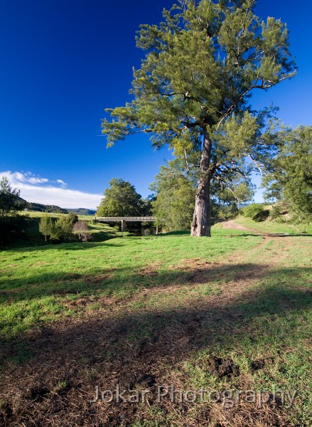 Kangaroo_Valley_20080518_065.jpg