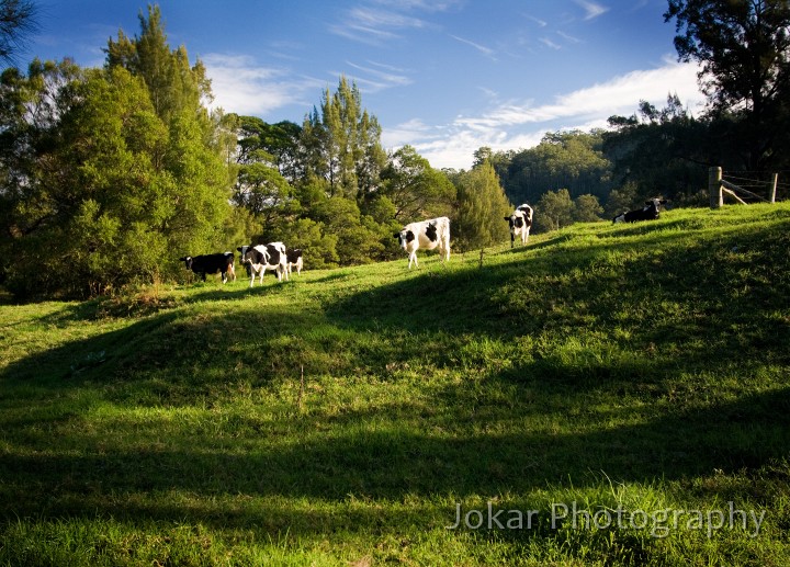 Kangaroo_Valley_20080518_104.jpg