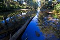 Kangaroo_Valley_20080518_086