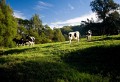 Kangaroo_Valley_20080518_105