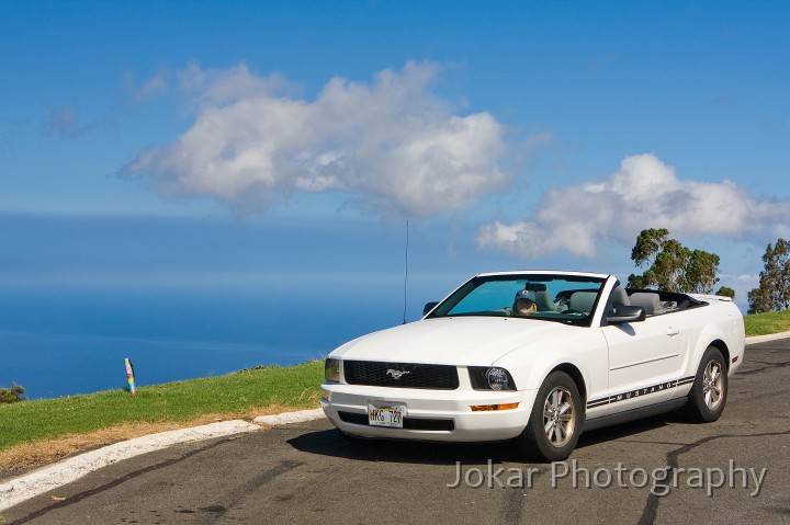 Hawaii_20090608_380.jpg - Our Ford Mustang, Kohala Mountain Road, Hawaii