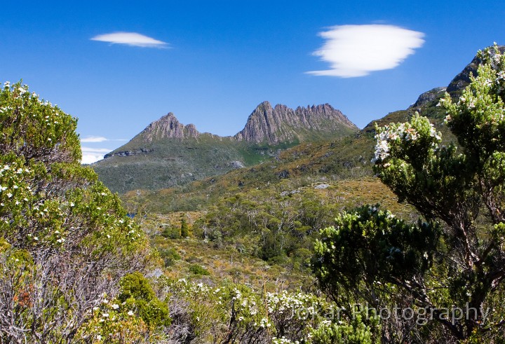 Overland_Track_20090201_044.jpg - Cradle Mountain, Tasmania