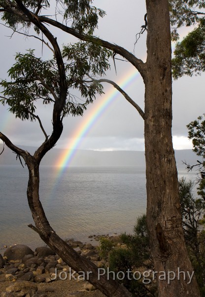 Overland_Track_20090211_760.jpg - Rainbow at Cynthia Bay, Lake St Clair, Overland Track, Tasmania