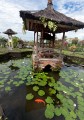 Tirta_Gangga_20100627_003