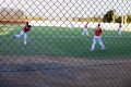 Baseball_20111105_064