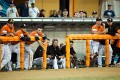 Baseball_20111105_165