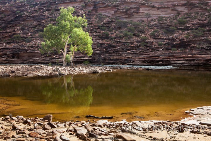 Kalbarri_20120615_075.jpg