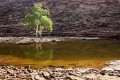 Kalbarri_20120615_075