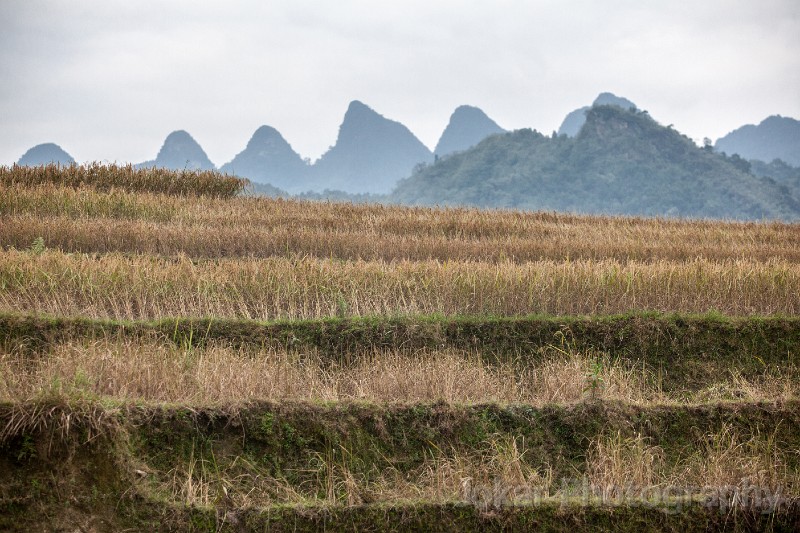 Vietnam_20131115_0695.jpg - Dragon tail mountains, Ha Giang