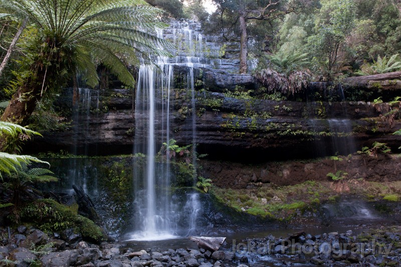 Tasmania_20140224_0563.jpg - Russell Falls, Mount Field National Park, Tasmania