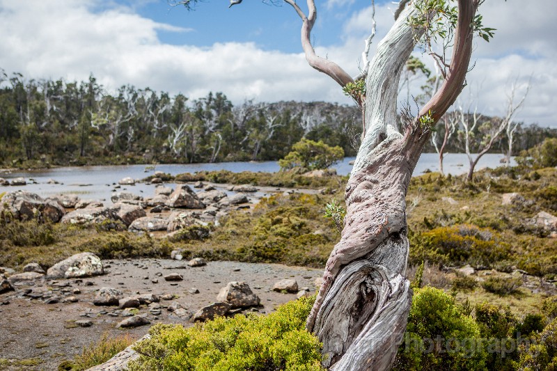 Tasmania_20140226_0673.jpg - Twisted Tarn, Mount Field National Park, Tasmania