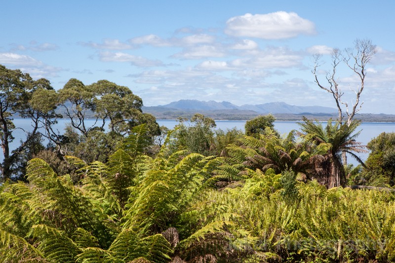 Tasmania_20140228_0844.jpg - Macquarie Harbour view from Sarah Island, Tasmania