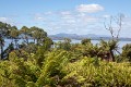 Tasmania_20140228_0844