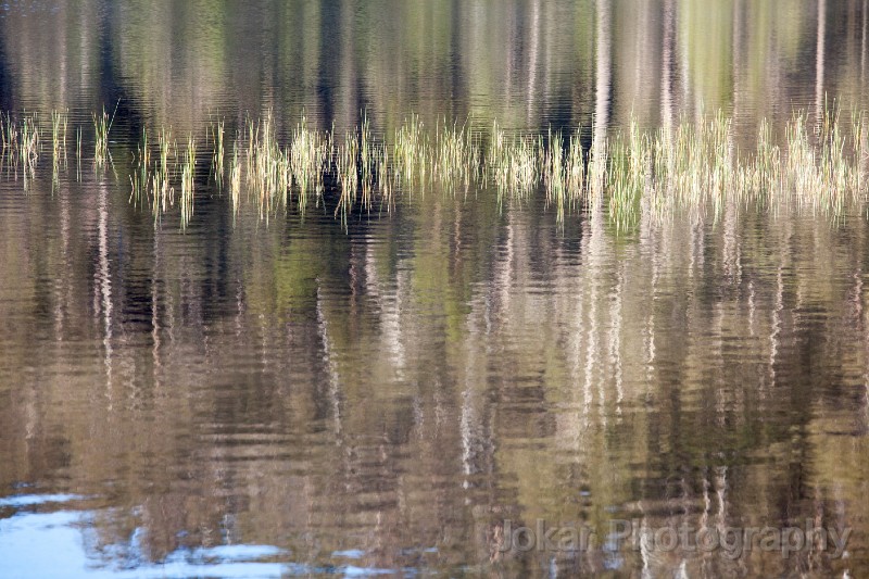 Tasmania_20140214_0198.jpg - Lake Adelaide, Walls of Jerusalem