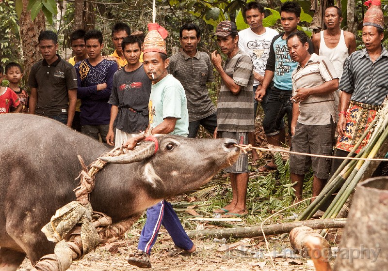 Tewan_Rangkang_20141102_516.jpg