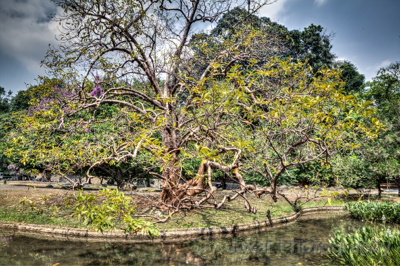 Bogor_20150919_037_38_39_40_41_tonemapped.jpg