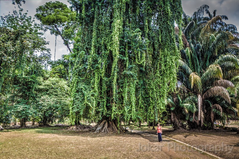 Bogor_20150919_078_79_80_81_82_Vibrant.jpg