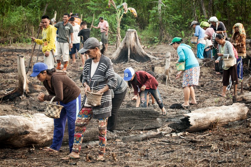 Tewang_Rangkang_Manugal_20151101_110.jpg