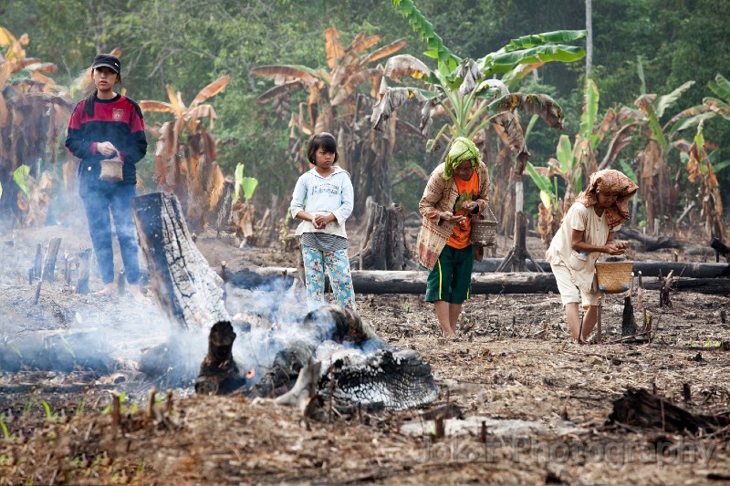 Tewang_Rangkang_Manugal_20151101_177.jpg