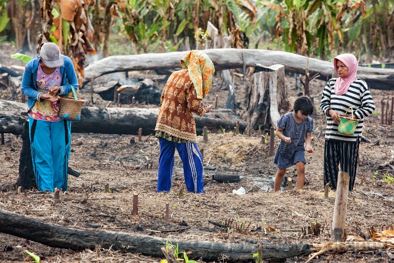 Tewang_Rangkang_Manugal_20151101_181.jpg