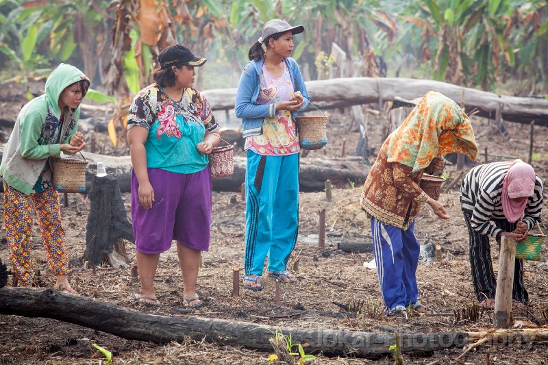 Tewang_Rangkang_Manugal_20151101_185.jpg