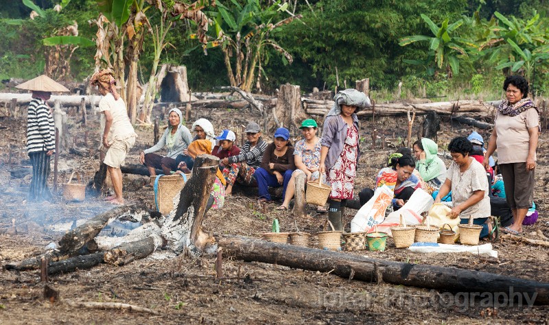 Tewang_Rangkang_Manugal_20151101_216.jpg