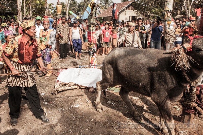 Tewang_Rangas_Tiwah_20150808_210.jpg