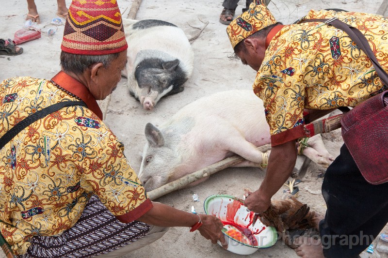 Tewang_Rangas_Tiwah_20150809_038.jpg