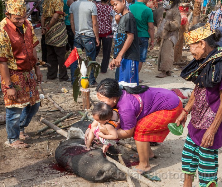 Tewang_Rangas_Tiwah_20150809_082.jpg