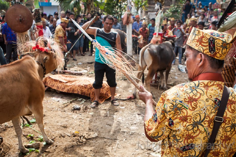 Tewang_Rangas_Tiwah_20150809_110.jpg