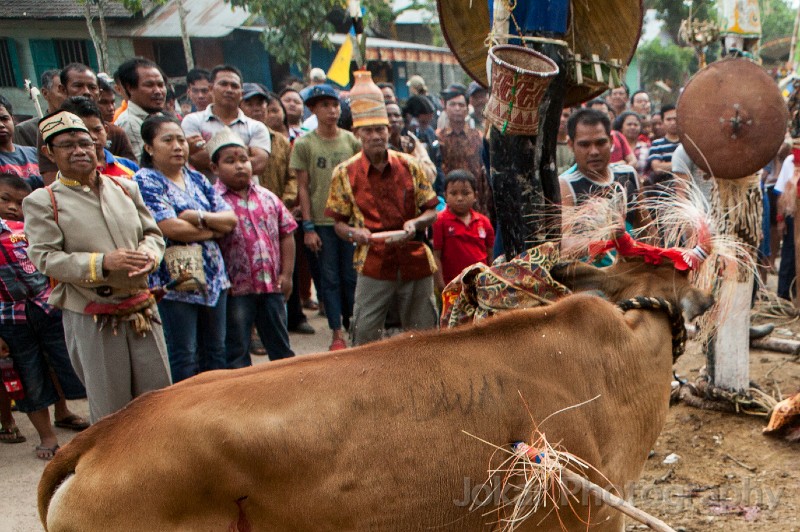 Tewang_Rangas_Tiwah_20150809_119.jpg