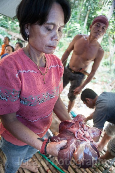 Tewang_Rangas_Tiwah_20150809_202.jpg