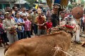 Tewang_Rangas_Tiwah_20150809_119