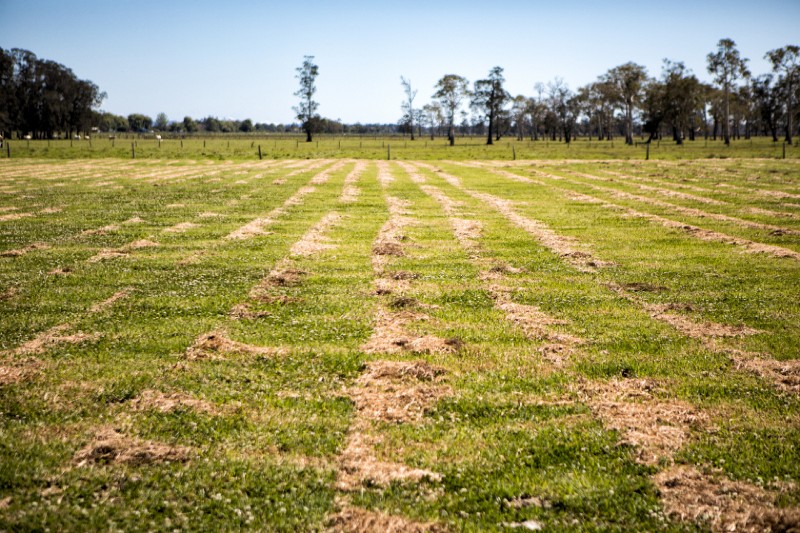 Belmore_River_20161015_039.jpg