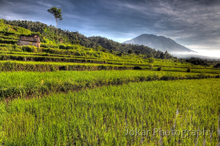 Sidemen_20100502_129_30_31_27_28_tonemapped.jpg - Mt Agung from Sideman, Bali, Indonesia